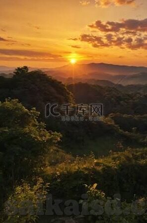 成人视频在线直播-成人视频在线直播，虚拟与现实的交汇点