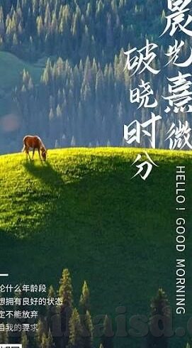 大象影视大象传媒在线-探索大象影视与大象传媒在线的多元化发展之路